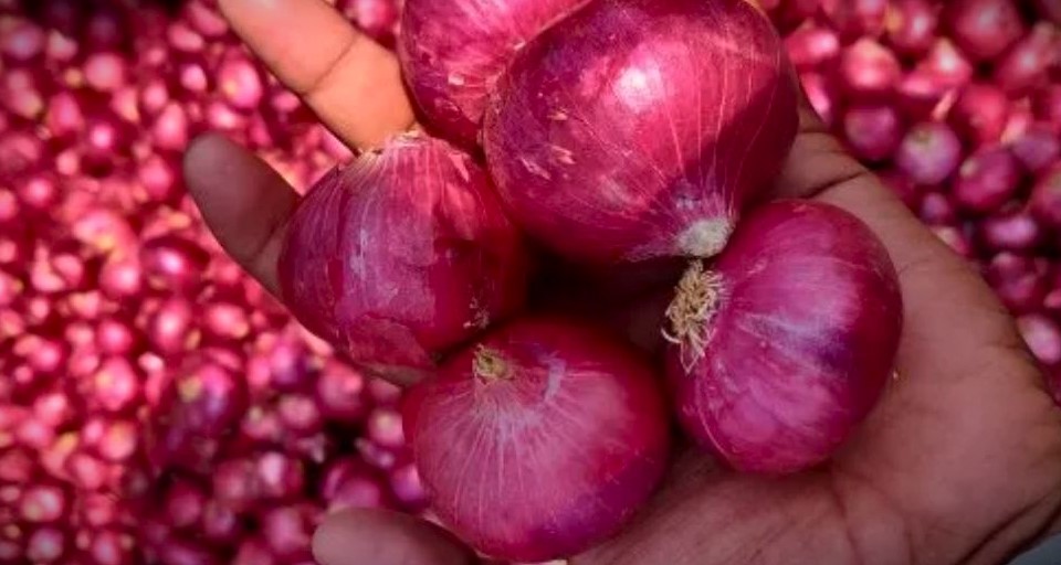 India allows export of onions to Bangladesh